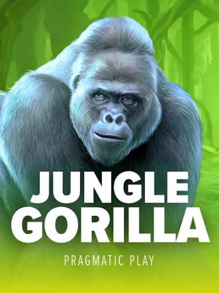 MiniCasino App: Your Ultimate Guide to Mobile Gambling