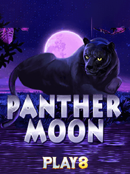 LotteryBet Hub: A Comprehensive Review for New Players