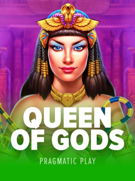 Beginner’s Guide to Getting Started with the MiniCasino App