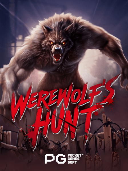 Best VegasHero Slots with Highest RTPs in 2026